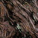 Illustration for article titled Tuesday Pictures